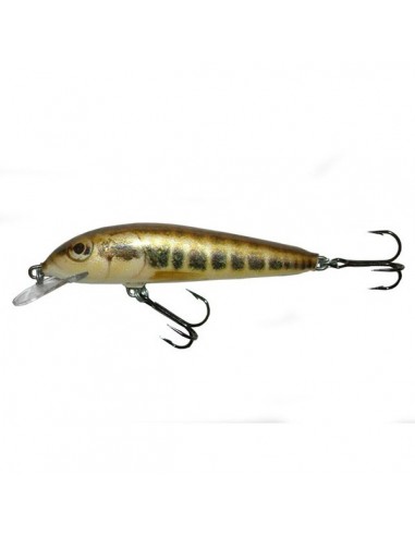 Vobler Salmo Minnow M7F M, 7cm, 6g