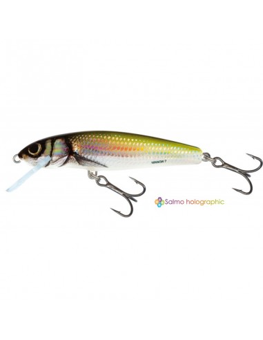 Vobler Salmo Minnow M7F HBL Floating, 7cm, 6g