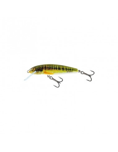 Vobler Salmo Minnow M6F HRM Floating, 6cm, 4g