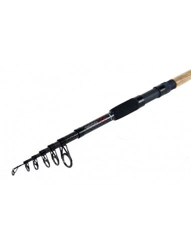 Lanseta Formax Tactic Tele, 3.00m, 40-80g