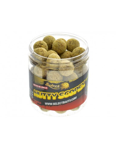 Boilies de carlig special intarit Select Baits, Nutty Scopex