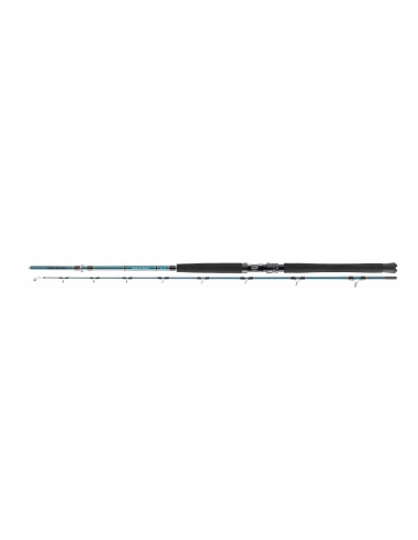 Lanseta Daiwa Saltist Boat, 2.35m, 50-350g, 2buc