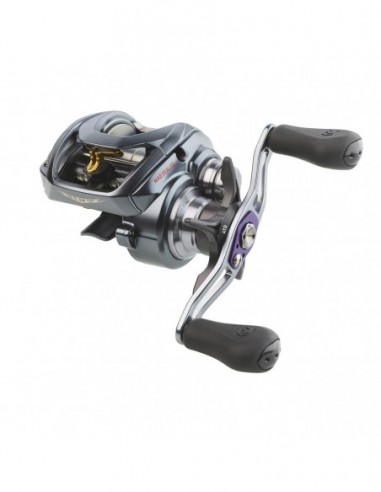 Multiplicator Daiwa Steez A TW 1016XHL