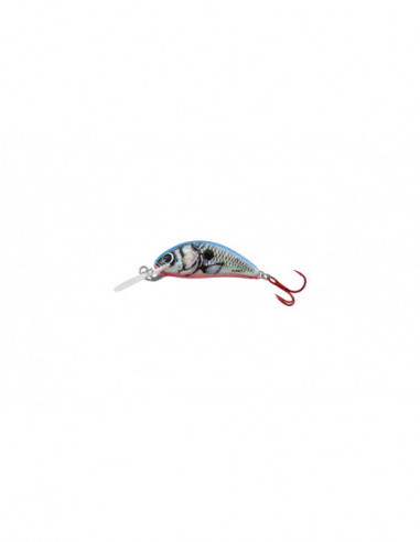 Vobler Salmo Hornet Floating, Silver Blue Shad, 3.5cm, 2.2g