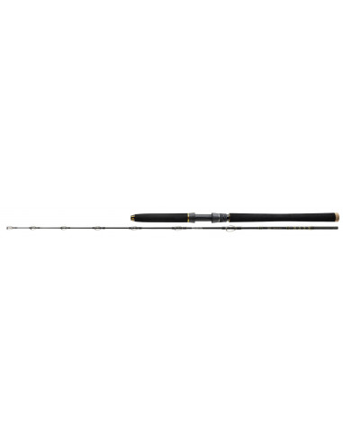 Lanseta Daiwa BG Deep Sea, 2.10m, 150-400g, 2buc