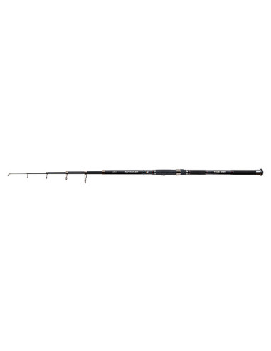 Lanseta Carp Expert Advancer Tele, 3.00m, 40-80g