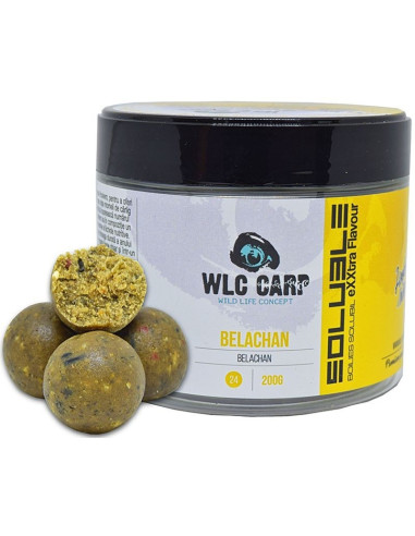 Boilies Solubil de Carlig WLC Carp, Belachan, 24mm, 200g