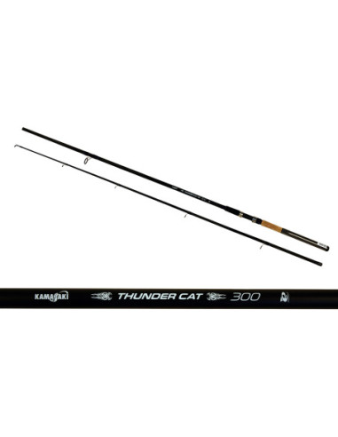 Lanseta EnergoTeam Kamasaki Thunder Catfish Rod, 3.00m, 100-200g, 2buc