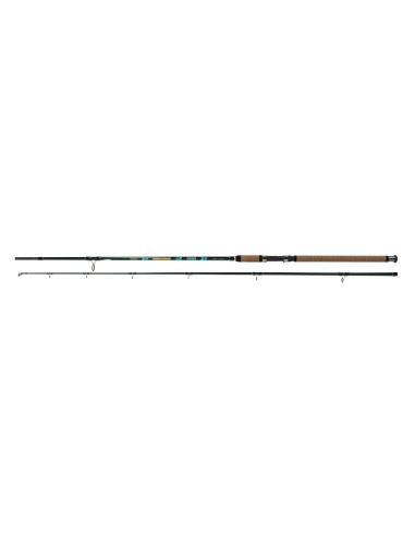 Lanseta Wizard Catfish Horizont, 3m, 1000-1300g, 2buc