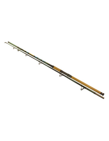 Lanseta EnergoTeam Wizard Catfish Shadow, 2.70m, 700-900g, 2buc