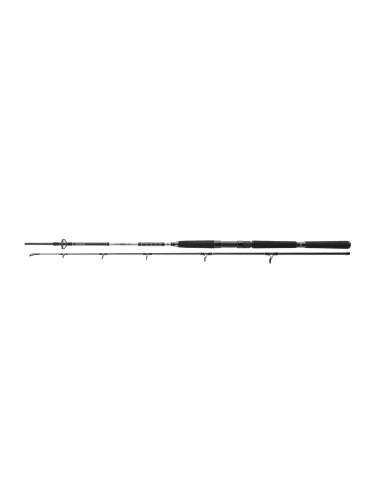 Lanseta Daiwa BG Offshore Pilk, 2.10m, 40-125g, 2buc