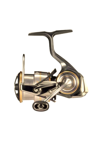 Mulineta Daiwa Luvias FC LT 2000