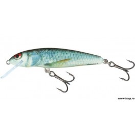 Vobler Salmo Minnow M9F RD 9cm/10g