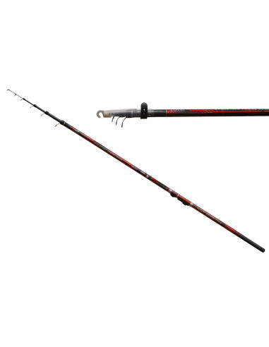 Lanseta Carp Expert Evolution Power Bolo, 4m, 5-35g