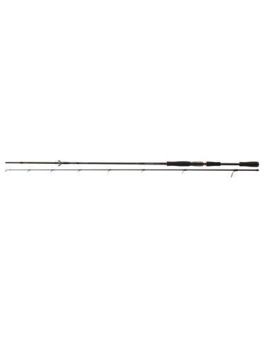 Lanseta Daiwa Tournament AGS, 2.70m, 14-42g, 2buc