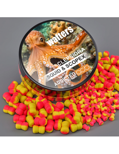 Wafters Addicted Carp Baits Clepsidra Premium, Squid & Scopex, 40-50ml