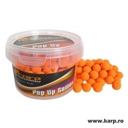 Carp Academy Fluo Pop Up Boilie Mega Fruit  Gymlcs 16mm 100g