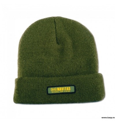 Caciula Navitas Slouch Beanie Green