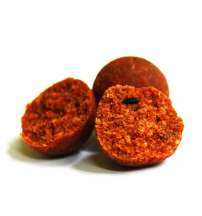 Select Baits boilies Bio-Krill+ N-Butyric & Indian Spice 1kg fierte