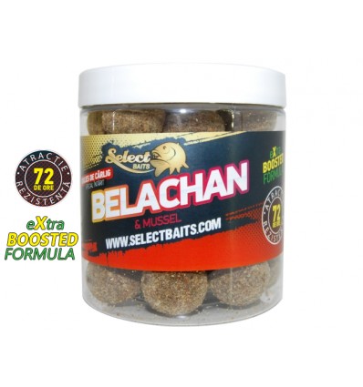 Boilies de carlig special intarit Belachan Select Baits