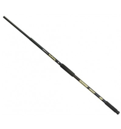 Coada Minciog Energoteam Carp Hunter Gs Pluto 1.80m