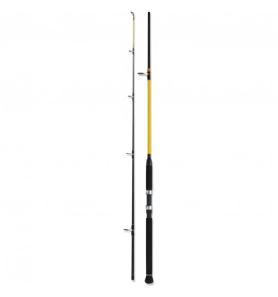 Lanseta WFT Never Crack Big Fish 2.40m 150-700g