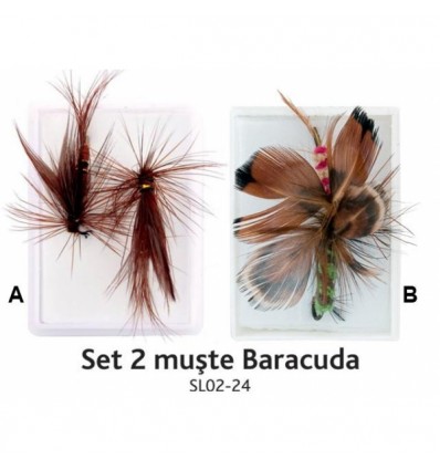 Set 2 muste Baracuda SL02- 24 (cutie)