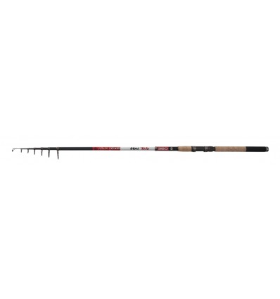 Lanseta Carp Expert Tele 2.40m 20-40g