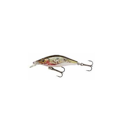 Cormoran Vobler Shallow Baby Shad R.Dying Roach 4cm/2.5g