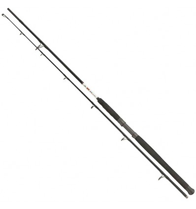 Lanseta Fox Rage Catfish Spin 2.60m 120-200g 2buc