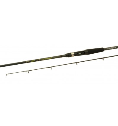 Lanseta Xpress Baitcast Nevis 2.10m 10-45g