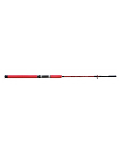 Lanseta Lineaeffe Mustang Catfish, 2.40m, 100-250g, 2buc