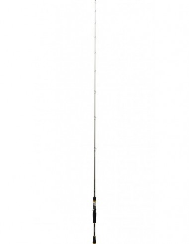 Lanseta Daiwa Exceler Baitcast 662MHFB, 1.98m, 7-28g, 2buc